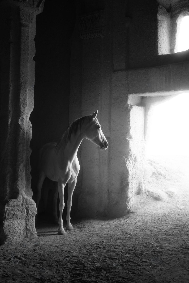 Atoned — Light & Shadow Collection by Christian Parrett